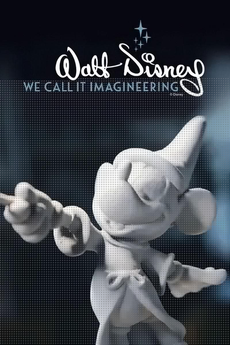 We Call It Imagineering